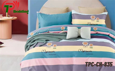 Bộ chăn ga gối Cotton TPC-CH-835