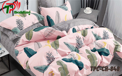 Bộ chăn ga gối Cotton TPC-CH-848